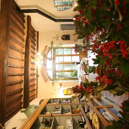 Villa La Casa Del Sole Del Sodo *